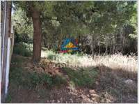 תמונת מגרש, דיוניסוס, אתונה למכירה (4)