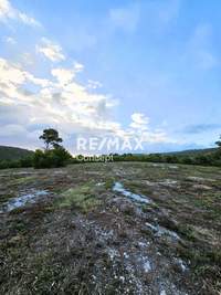 Image 13 of 14