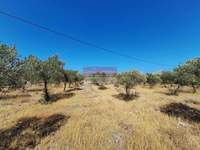 תמונת מגרש, סטברוס - חוראפקיה, חאניה, כרתים למכירה (1)