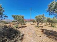 תמונת מגרש, סטברוס - חוראפקיה, חאניה, כרתים למכירה (3)