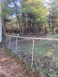 תמונת מגרש, דיוניסוס למכירה (1)