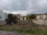 תמונת מגרש, פאנטלי למכירה (3)