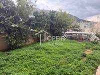 תמונת פורטו ראפטי, מרקו פולו למכירה (2)