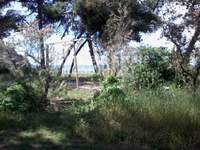 תמונת מגרש, תרמיקוס למכירה (2)