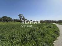 Image 7 of 17