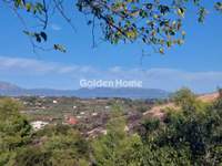 תמונת בית, אורופוס למכירה (3)