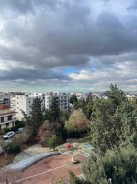 תמונת דופלקס, פאפאגו למכירה (4)