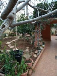 Image 6 of 25