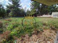 תמונת בית, דיוניסוס, אתונה למכירה (2)