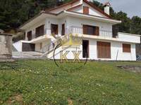 תמונת אורופוס, אתונה למכירה