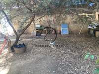 Image 9 of 19