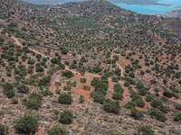 Image 6 of 8
