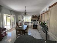 תמונת זקינתוס למכירה