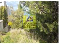 תמונת מגרש, מרקו פולו למכירה (1)