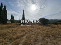 תמונת מגרש, זקינתוס למכירה (4)