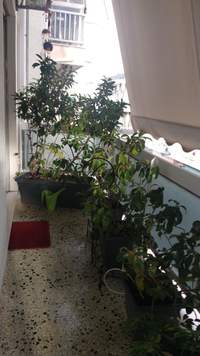 תמונת דירה, פנגרטי, רשות מקומית אתונה למכירה (4)