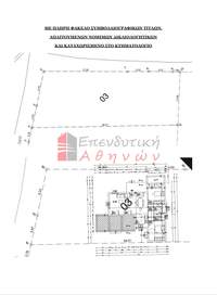 Image 10 of 14