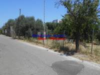 תמונת איגאליאה, פלופונס למכירה