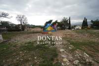 תמונת נאה אריטאריה, קיפיסיה למכירה (2)