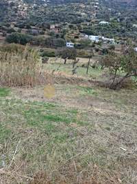 תמונת בית, אנדרוס, הקיקלאדיים למכירה (3)