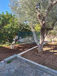 Image 20 of 25