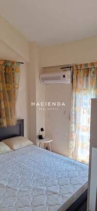 תמונת פוליגירוס למכירה (4)