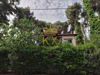 תמונת קיפיסיה, אתונה למכירה