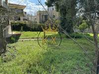 תמונת דיוניסוס למכירה (2)