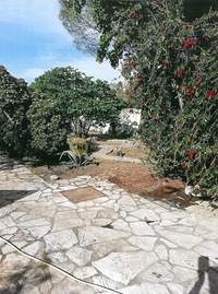 Image 14 of 24
