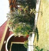 Image 19 of 24