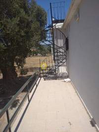 Image 6 of 16