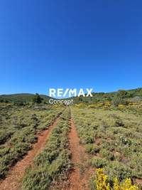 תמונת מגרש, רשות מקומית זקינתוס למכירה (4)