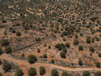 תמונת מגרש, אגיוס ניקולאוס  למכירה (4)