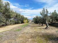 תמונת בית, כלקיס (צפון), אוויה למכירה (2)