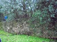 תמונת מגרש, קיפיסיה למכירה (2)