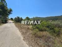 תמונת מגרש, רשות מקומית זקינתוס למכירה (1)