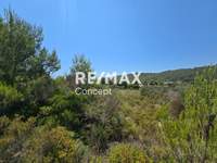 תמונת מגרש, רשות מקומית זקינתוס למכירה (3)