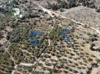 תמונת מגרש, אפוקורנס, כרתים למכירה (3)