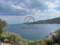 תמונת מגרש, מרתון למכירה (2)