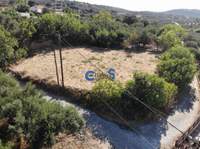 תמונת מגרש, אפוקורנס למכירה (2)