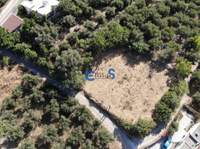 תמונת מגרש, אפוקורנס למכירה (1)