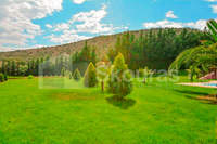 Image 17 of 25