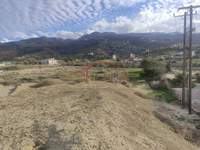 Image 19 of 21