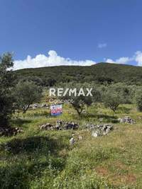 תמונת מגרש, רשות מקומית זקינתוס למכירה (1)