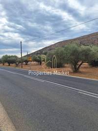 תמונת שטח חקלאי, סרוניקוס, אתונה למכירה (3)