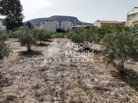 Image 23 of 25