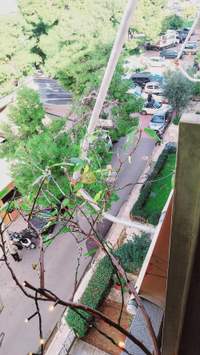 תמונת דירה, צ'ולארגוס למכירה (2)