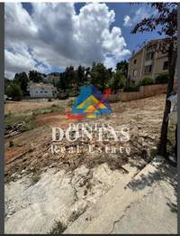 תמונת מגרש, דיוניסוס למכירה (4)