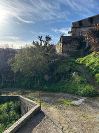 תמונת קיסאמוס, כרתים למכירה