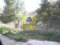 תמונת מגרש, דיוניסוס, אתונה למכירה (1)